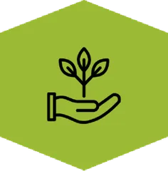 An icon of a hand and a plant inside a green hexagon