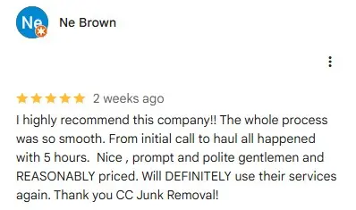 Ne Brown Review