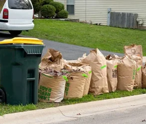 Yard Waste Removal